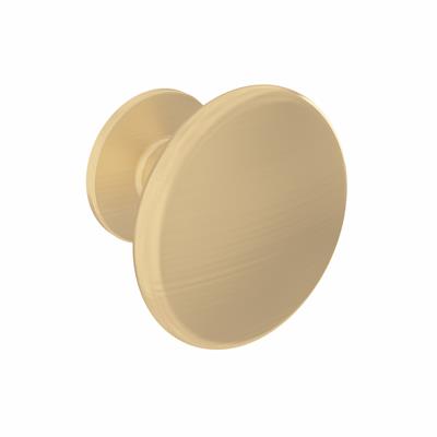 Hardwick Handle in Brushed Brass