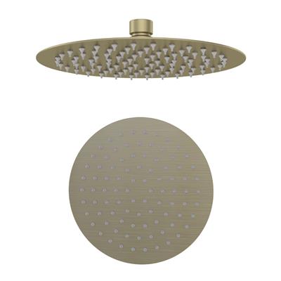 8" (200mm) Round Fixed Over Head Shower Head - Brushed Brass