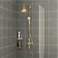 Traditional Twin Thermostatic exposed shower Valve with Rigid riser with 8'' Rose Head - Brushed Brass